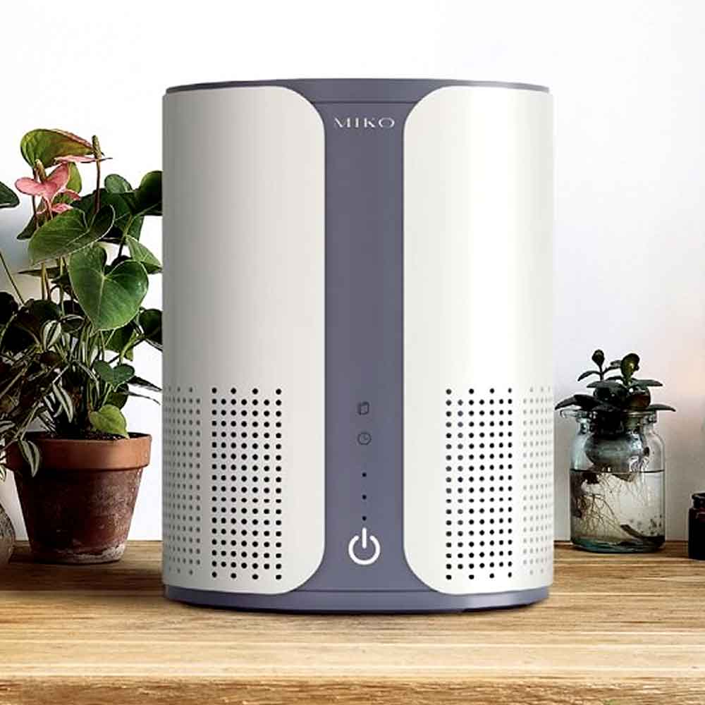 Air purifier fan speeds and timer