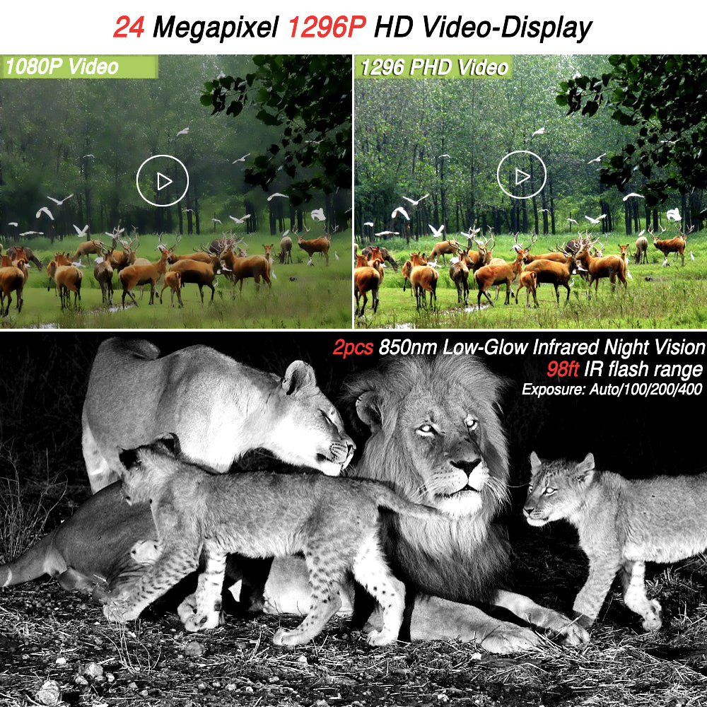 24MP photos, 1296p video and low-glow infrared night vision