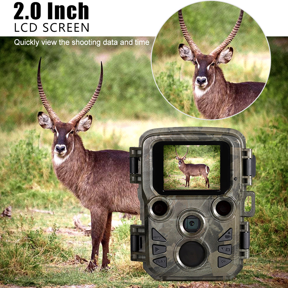 Trail camera's 2 inch color screen showing a deer