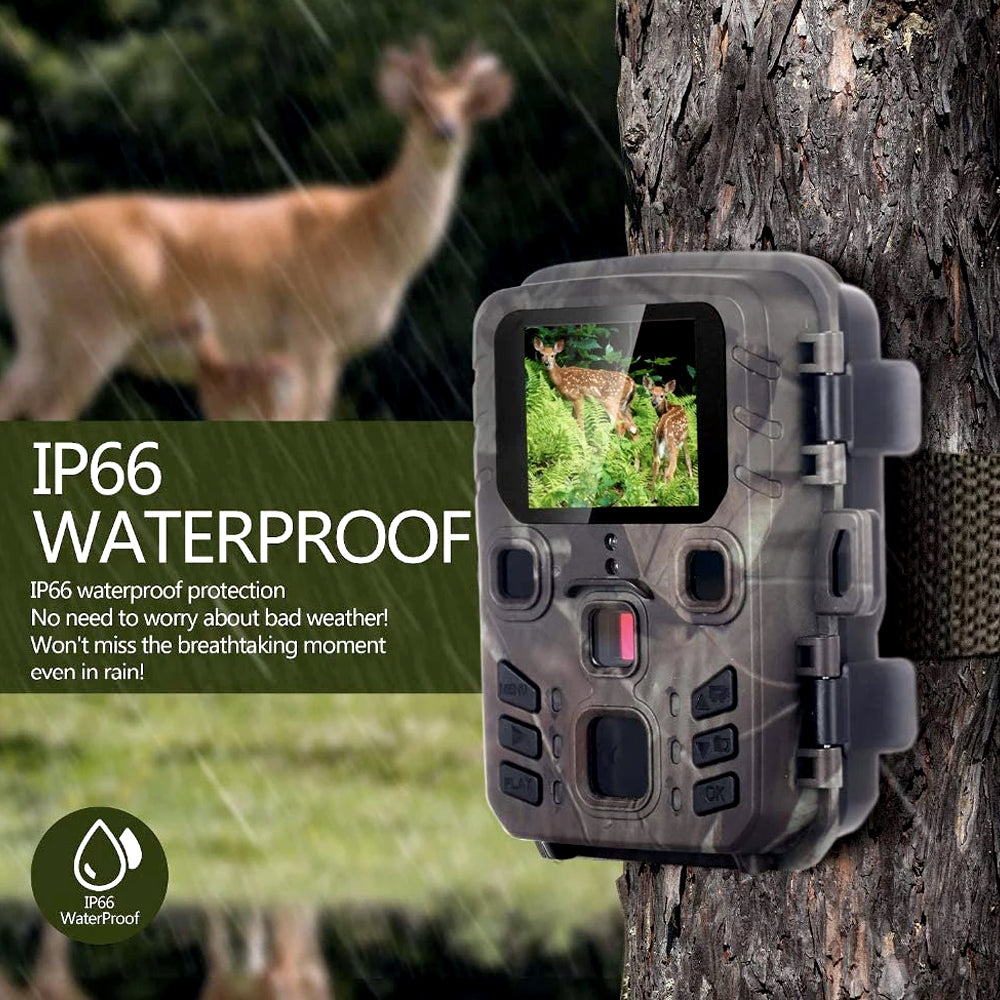 IP66 weatherproof trail camera strapped to a tree with a deer nearby