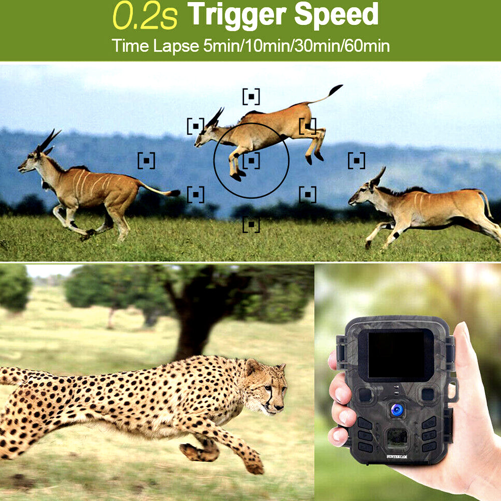 0.2 second trigger speed catching fast-moving wildlife