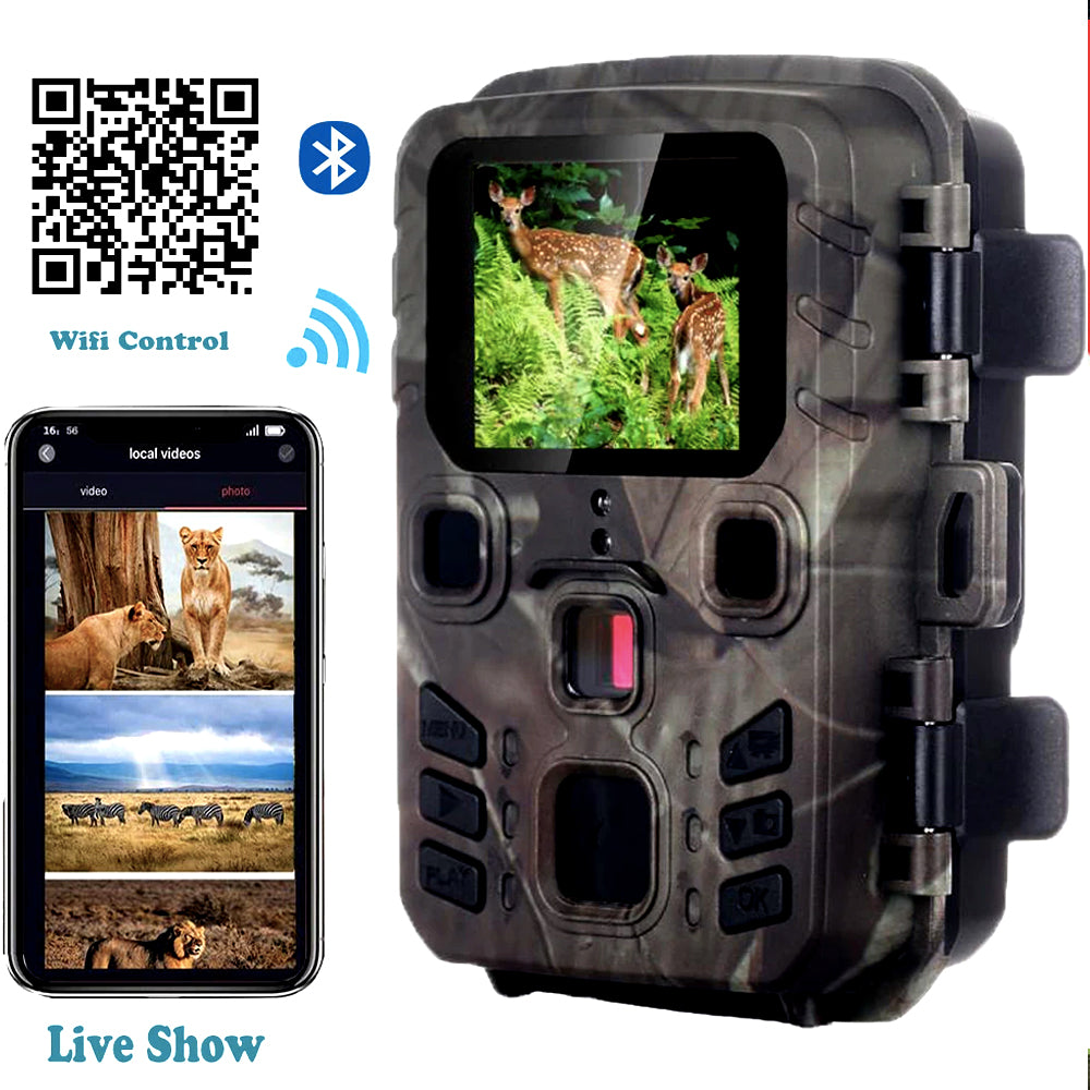 Live view on a phone over the camera's WiFi and Bluetooth connection