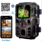 Live view on a phone over the camera's WiFi and Bluetooth connection