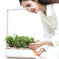 Woman tending fresh herbs in the indoor hydroponic garden