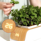 Temperature display on the herb garden's wood-look base