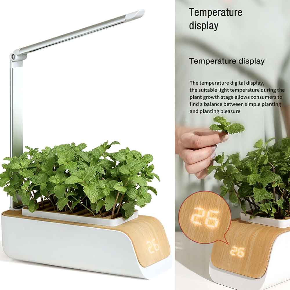 Indoor herb garden with LED grow light and temperature display