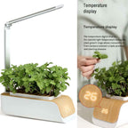 Indoor herb garden with LED grow light and temperature display