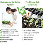 Hydroponic garden compared with traditional soil gardening