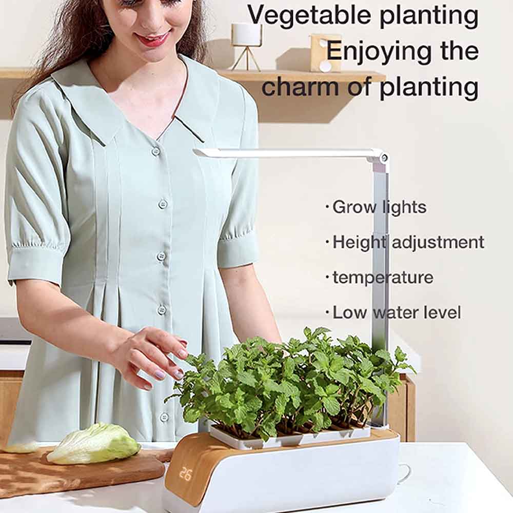 Woman picking herbs from the hydroponic garden on a kitchen counter