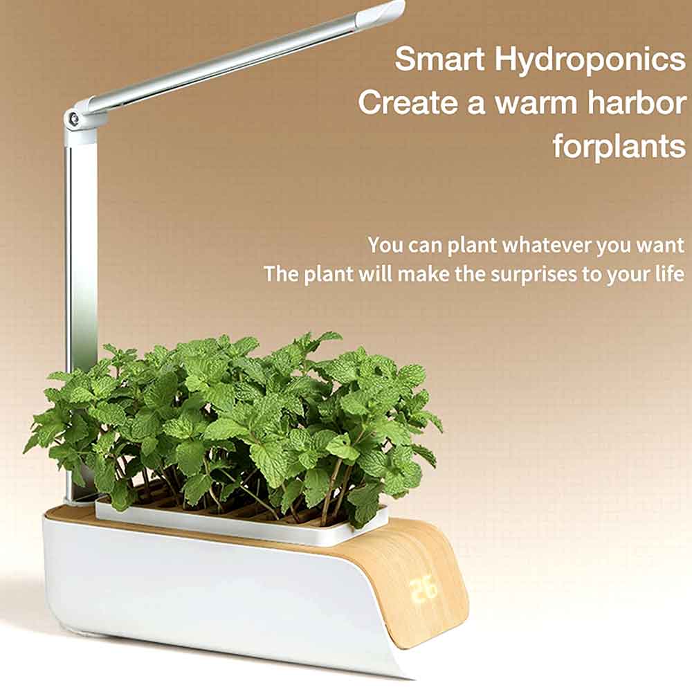 Hydroponic herb garden with leafy plants under the grow light