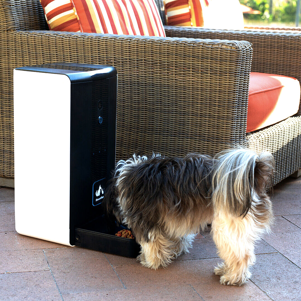 Small dog eating from the automatic pet feeder on a patio